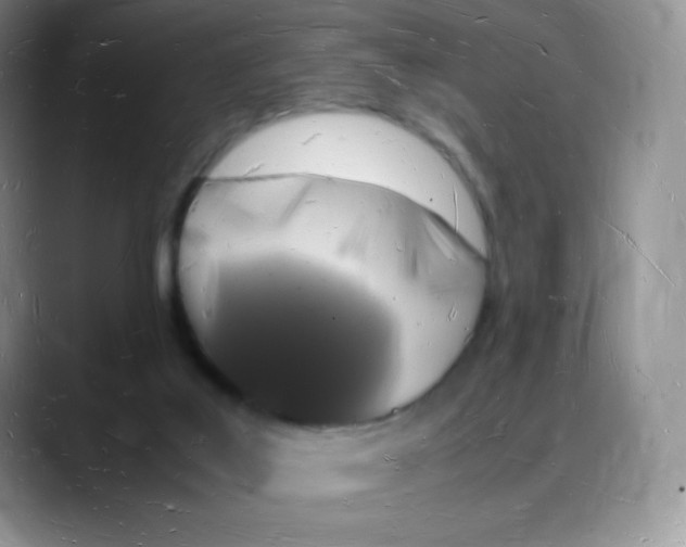 X0000088070019200706081718
