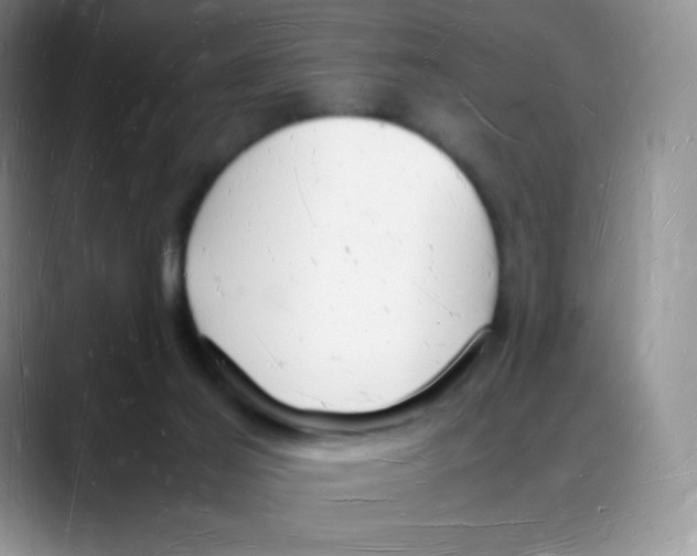X0000088070021200706081718