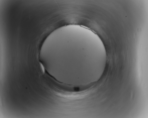 X0000088070023200706081718