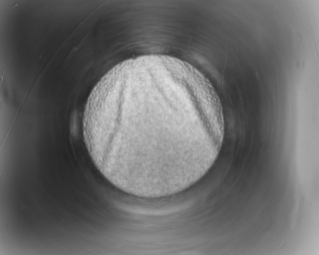 X0000088070026200706081718