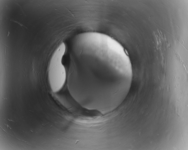 X0000088070027200706081718