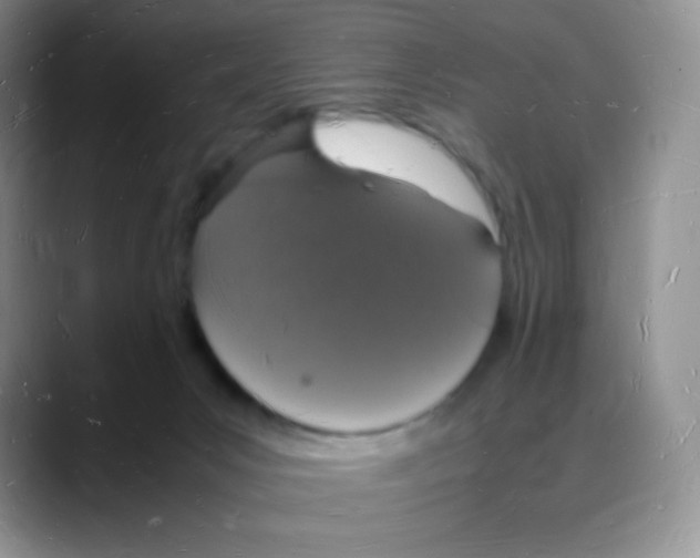 X0000088070031200706081718
