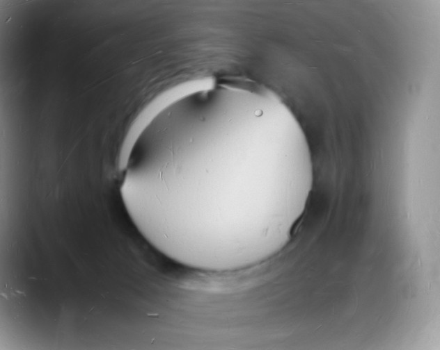 X0000088070033200706081718
