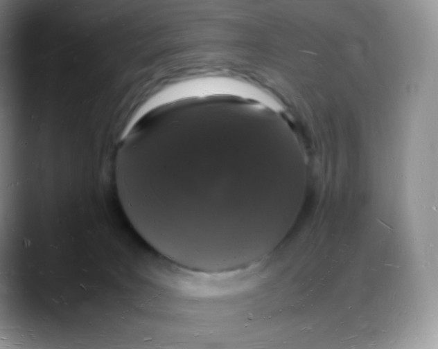 X0000088070035200706081718