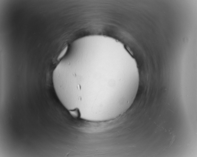 X0000088070037200706081718