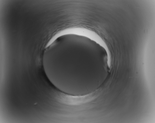 X0000088070039200706081718