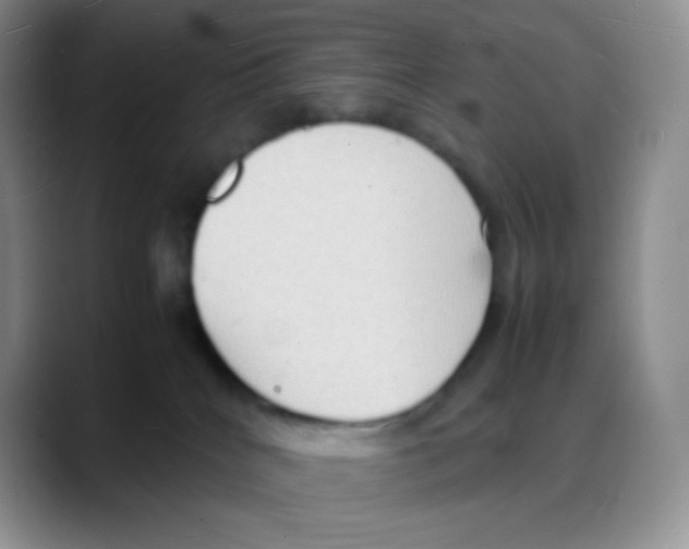 X0000088070040200706081718
