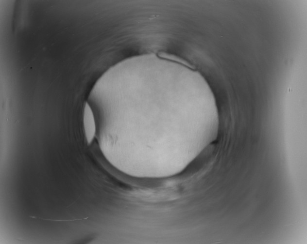 X0000088070041200706081718