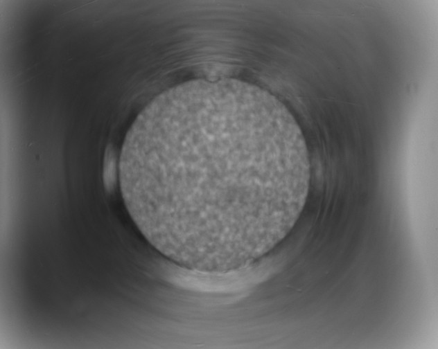X0000088070042200706081718