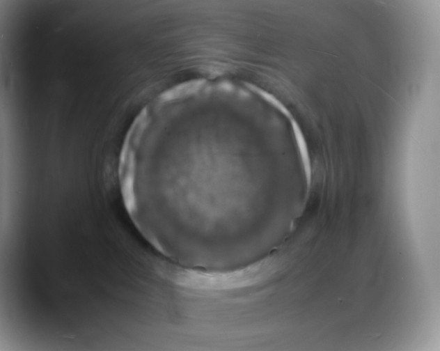 X0000088070043200706081718