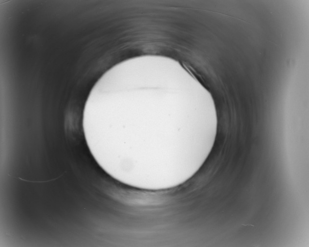 X0000088070044200706081718