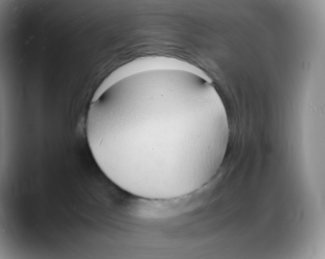 X0000088070045200706081718