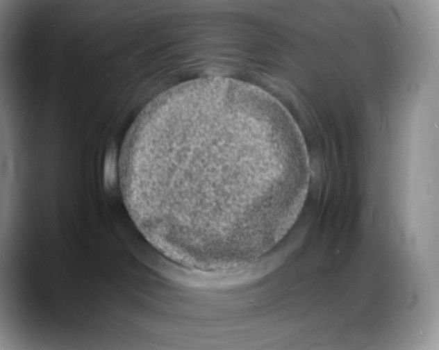 X0000088070046200706081718