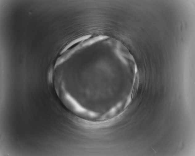 X0000088070047200706081718