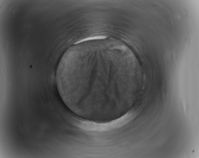 X0000088070048200706081718