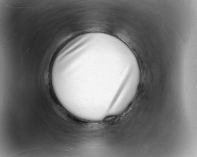 X0000088070050200706081717
