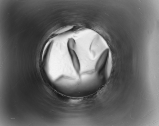 X0000088070051200706081717