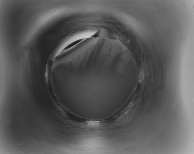 X0000088070052200706081718