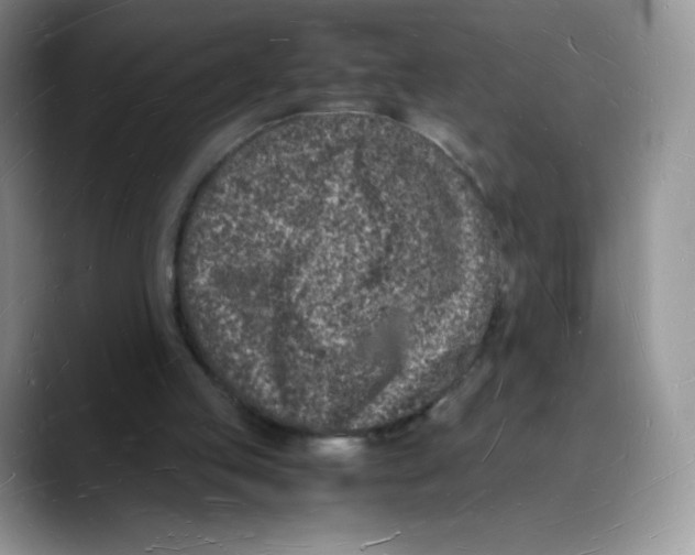 X0000088070053200706081718