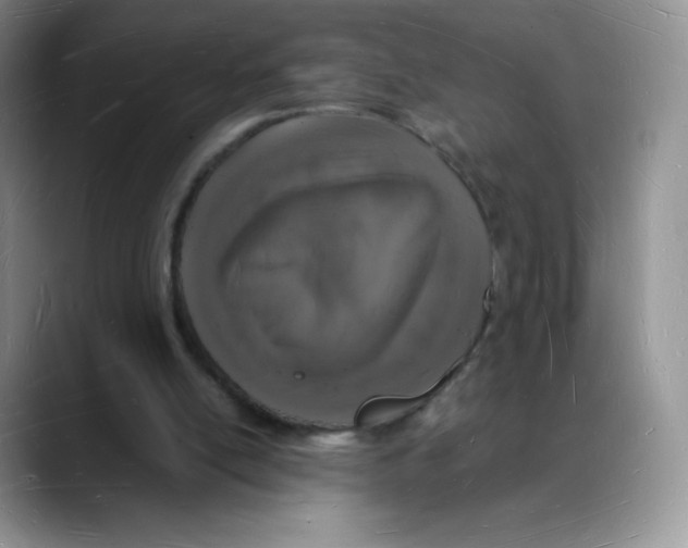 X0000088070054200706081718