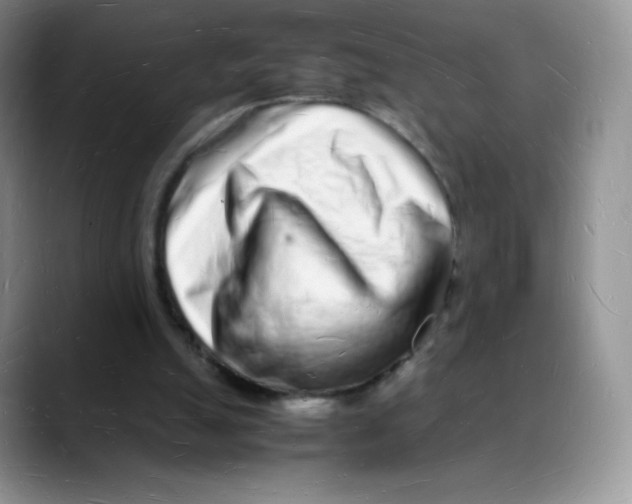 X0000088070055200706081718