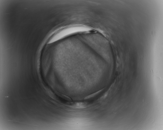 X0000088070056200706081718