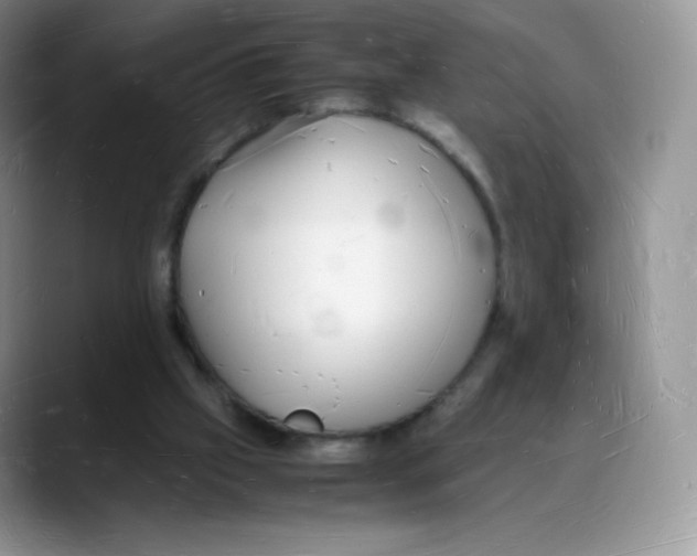 X0000088070057200706081718