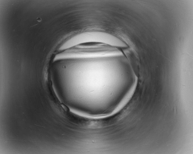 X0000088070060200706081718