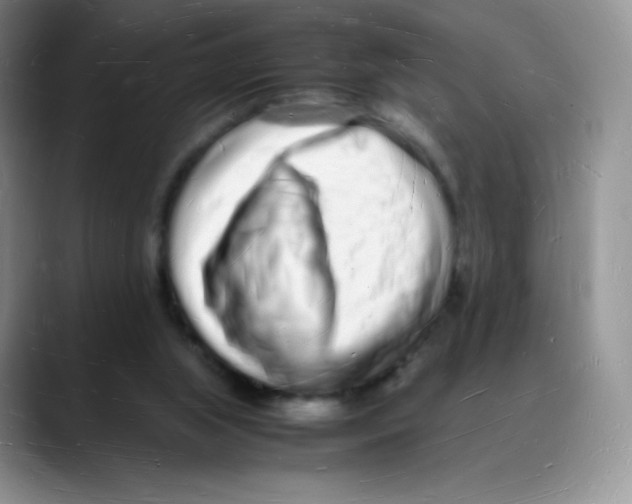 X0000088070063200706081718