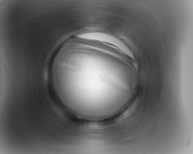 X0000088070064200706081718