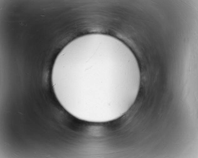 X0000088070066200706081718
