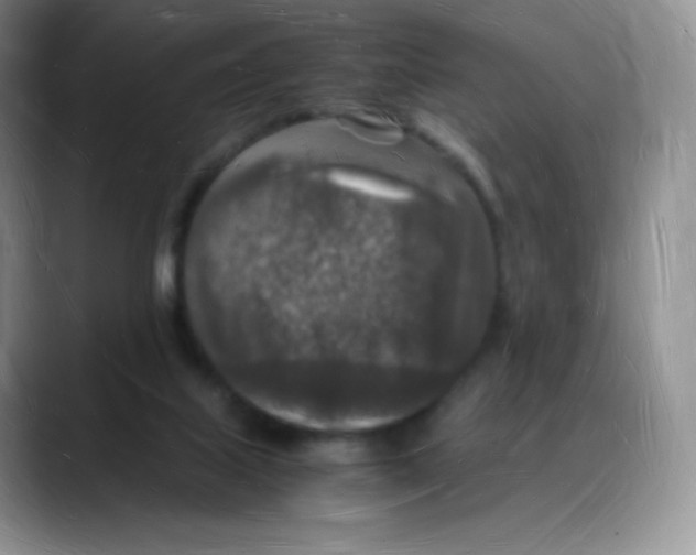 X0000088070067200706081718