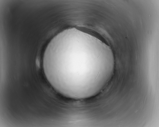 X0000088070068200706081718