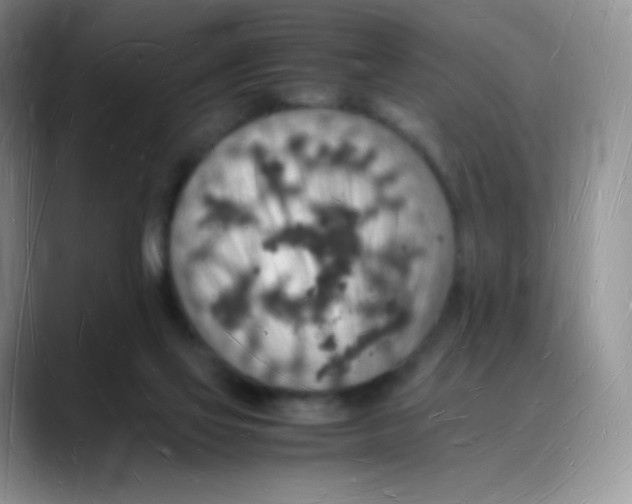 X0000088070069200706081718
