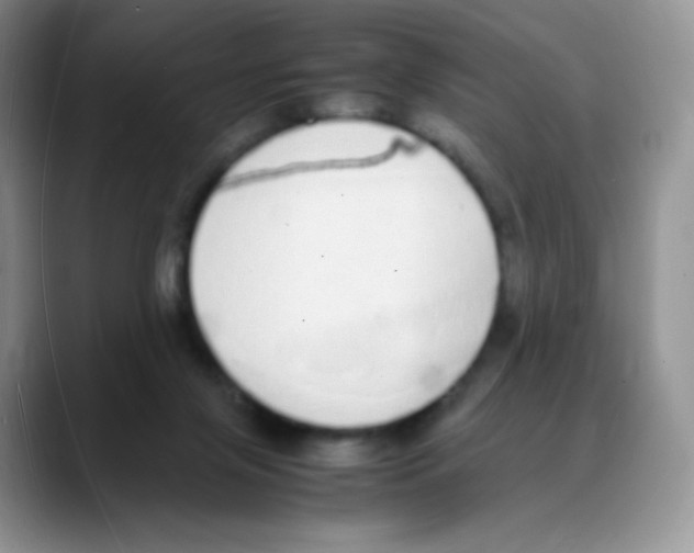 X0000088070071200706081718