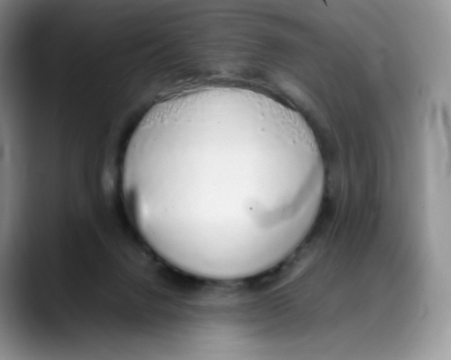X0000088070072200706081718