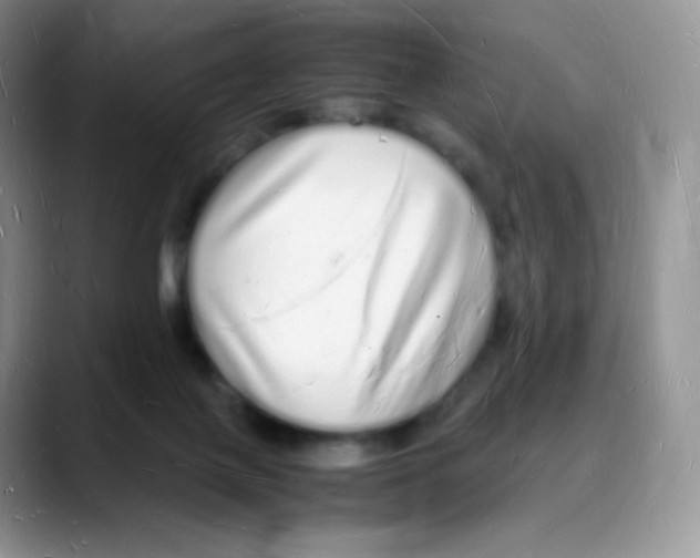 X0000088070075200706081718