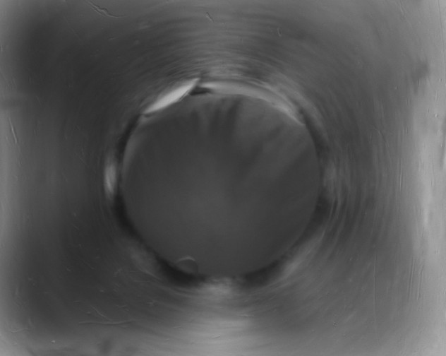 X0000088070076200706081718