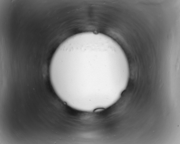 X0000088070077200706081718