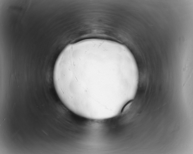 X0000088070078200706081718