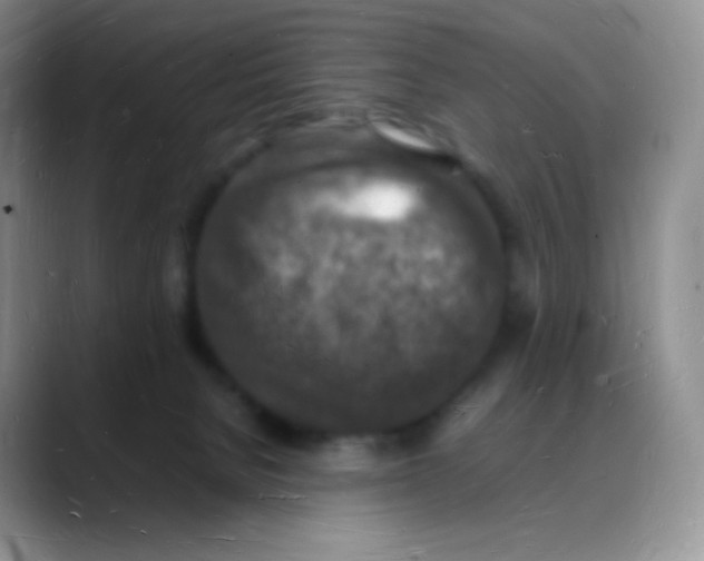 X0000088070080200706081718