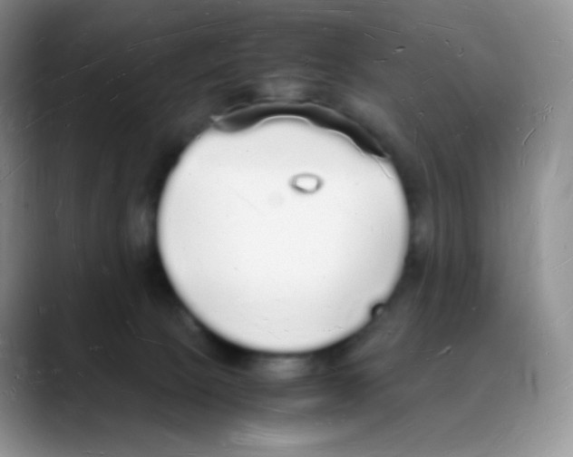 X0000088070081200706081718
