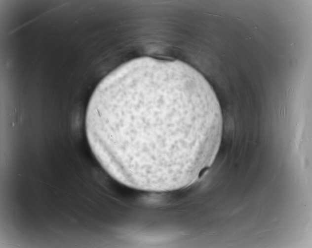 X0000088070082200706081718