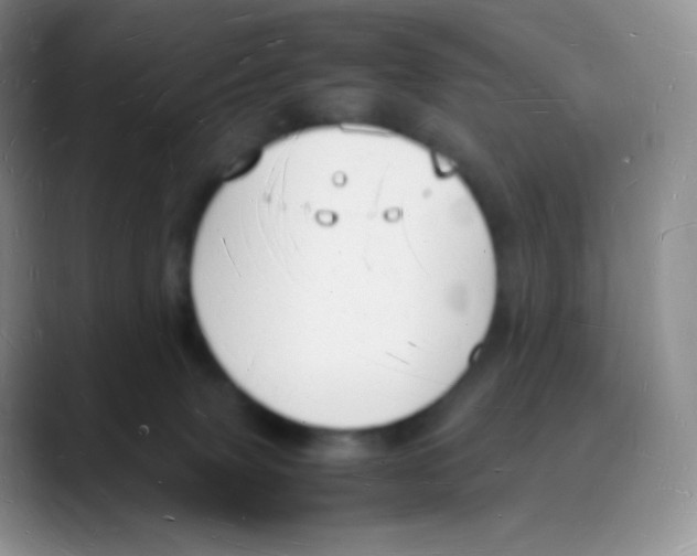 X0000088070083200706081718