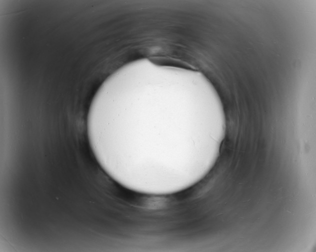 X0000088070085200706081718