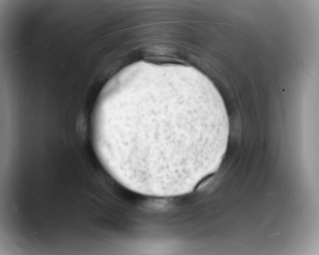X0000088070086200706081718