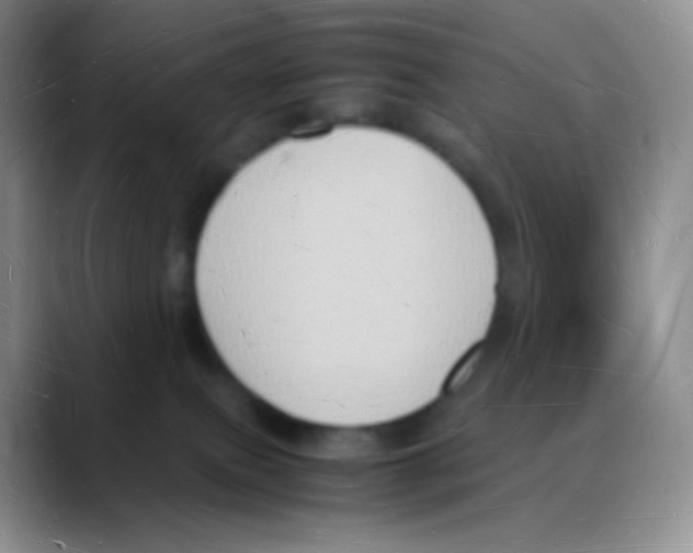 X0000088070087200706081718