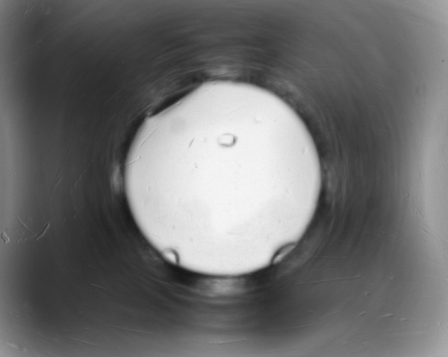 X0000088070089200706081718