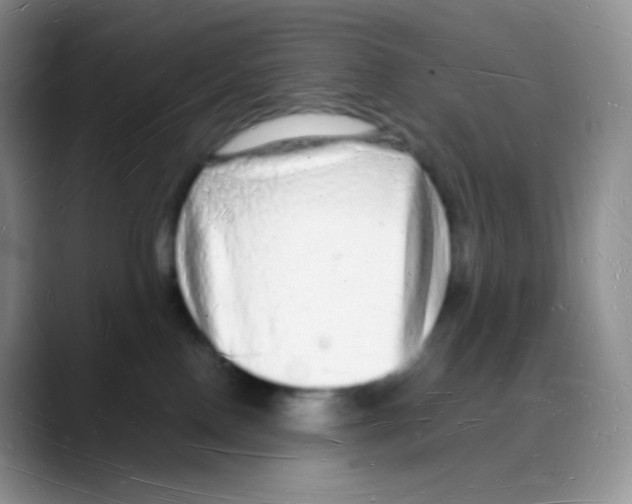 X0000088070090200706081718