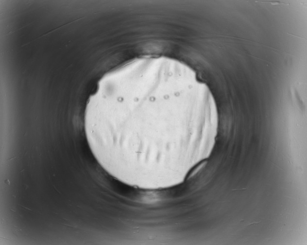X0000088070091200706081718